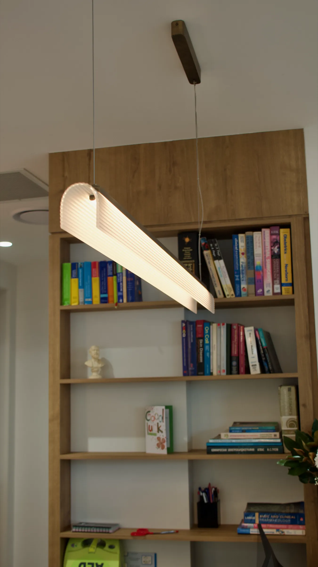 Centro Med Hornsby Clinic, pendant shelving