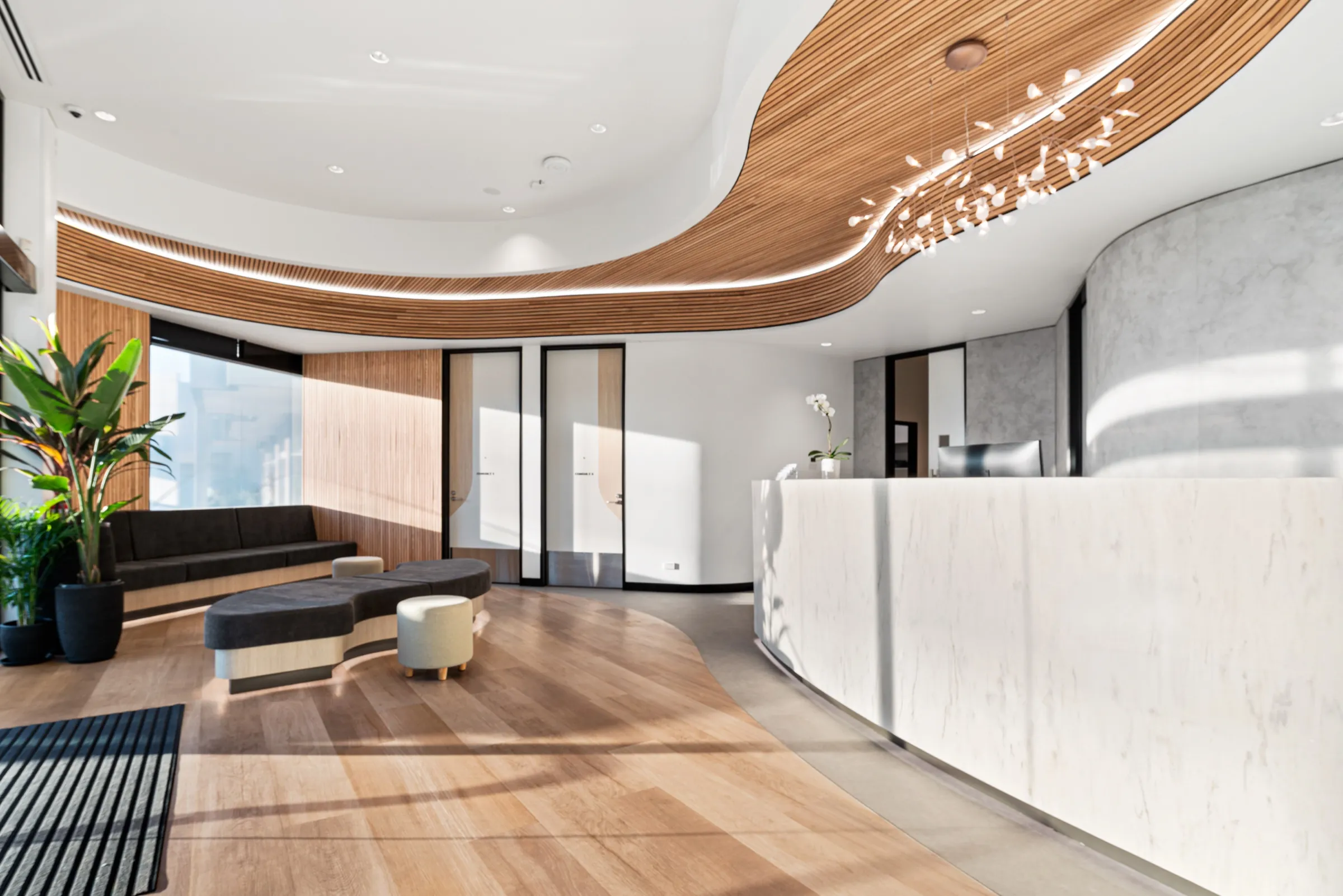 Veterinary Cardiologists Australia, waiting area